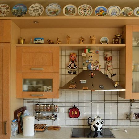Sunny Retreat With A Garden Terrace Private Room อิโออันนินา ภายนอก รูปภาพ